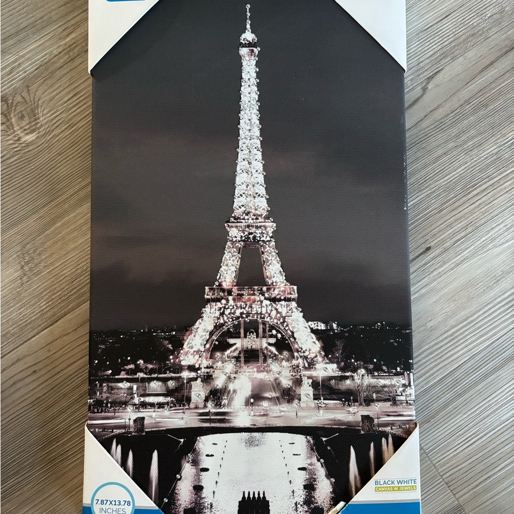 Eiffel Tower Black and White Canvas Art